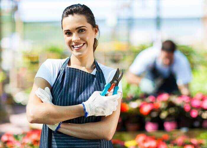 Button Dripper Irrigation for Apple Orchards in Kenya | Goko Horticulture