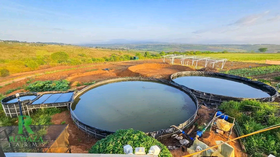 Above Ground Damlinner Water storage