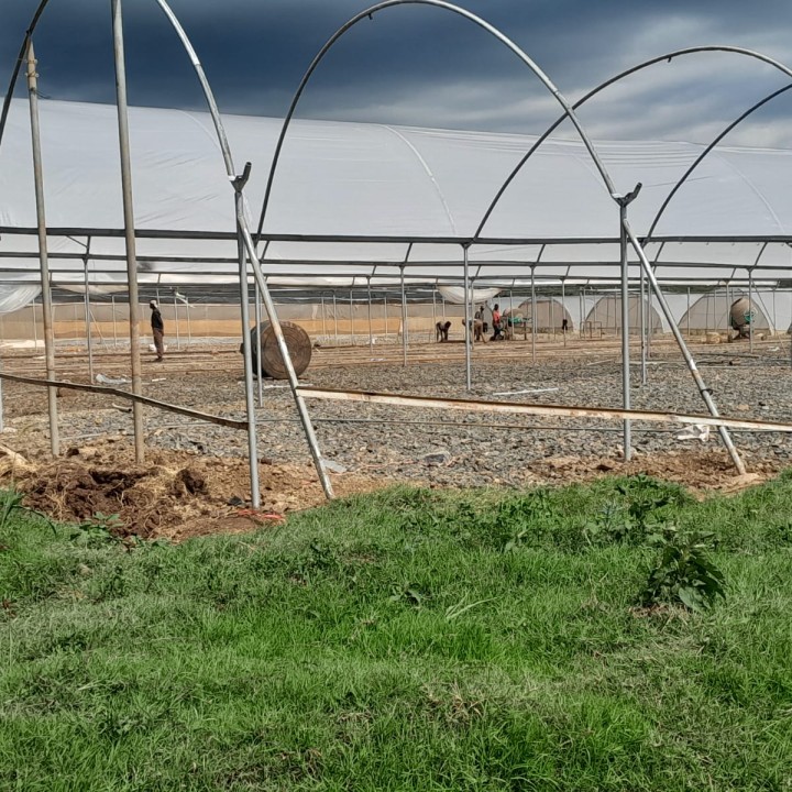 Greenhouse Construction and installation,Metalic frame 8mby 35m